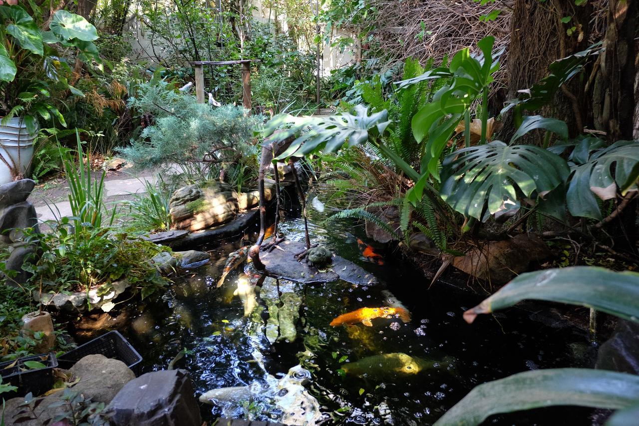 Jambo Guest House Cape Town Eksteriør bilde